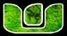 wicked + rave parties corp