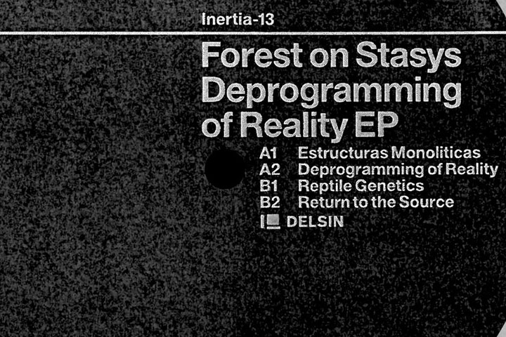Forest on Stasys