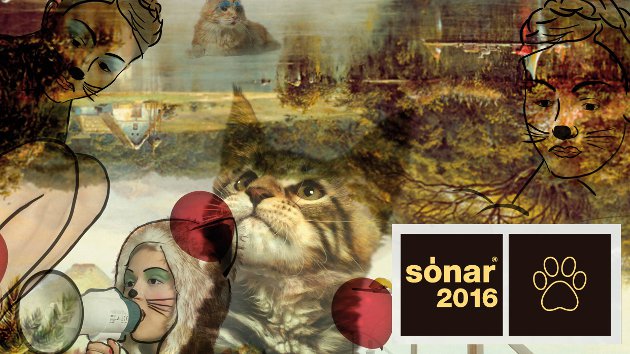 Las gatitas del Sónar 2016